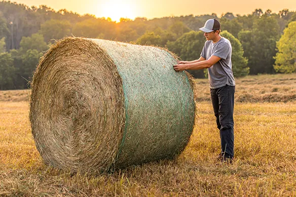Farmer inspecting a round bale wrapped in AGCO net wrap at sunset in a hayfield – efficient and secure crop packaging.