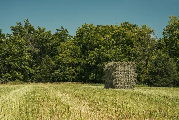 square bale in a field